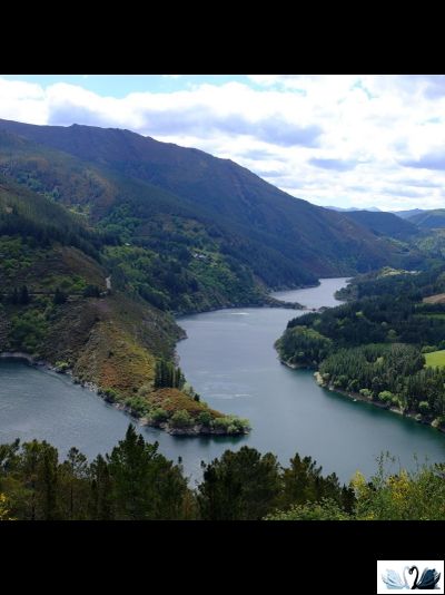 Керамогранит Belani Navia натурал 60х60 см под камень Береза керамика