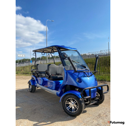 Гольфкар GreenCamel A42 126Ah (4+2 2500W 225/40-10' литые)