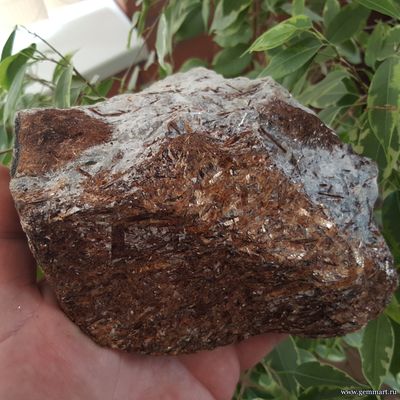 Астрофиллит. Кольский п-ов. Россия.