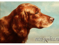 КАРЛ РАЙХЕРТ 4430