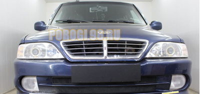 Защита радиатора ТагАз Road Partner 2008-2011 (2 части) black низ