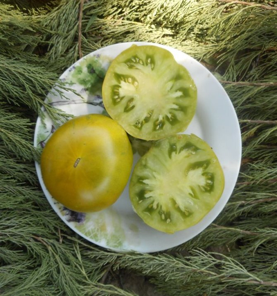 Томат Зеленая сластена