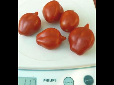 Томат Гора Везувий (Mt.Vesuvius, Mountain Vesuvius)