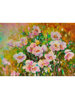 Белые анемоны