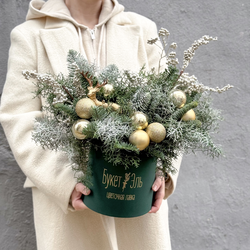 Северный олень