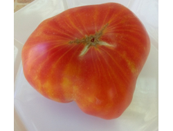 Томат Желто-розовый бабушки Виней (Grandma Viney’s Yellow and Pink, США)