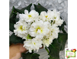 МК-Белая Кувшинка (М. Карпова) 2022 г.