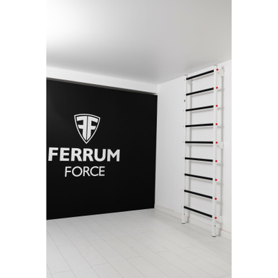Шведская стенка Ferrum Force F купить в Воронеже