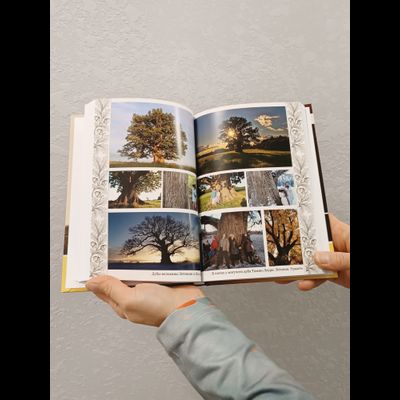 Дубыня и Василиса. Быль-Сказка "О Дубах, Желудях, Напитках и Кофе".