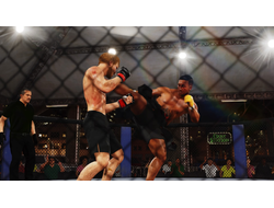Игра EA Sports UFC 4 (PS4)