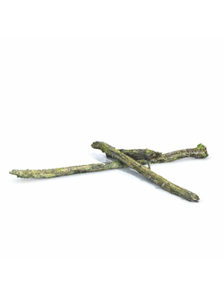 пни Бревна 003