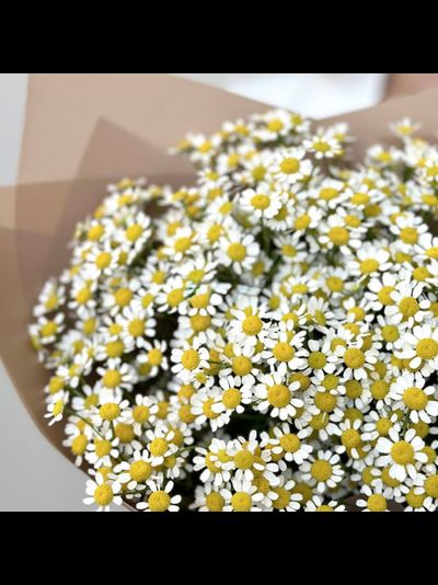 Букет из 9 кустовых ромашек