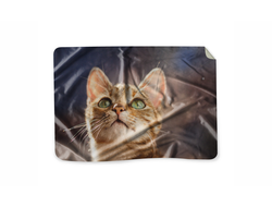 Плед Котики №4