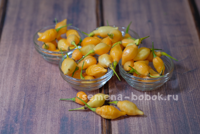 Перец острый Cabacinha Laranja, 10 шт