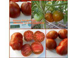 Томат Беркли Тай дай хаат (Berkeley Tie Dye Heart , USA)