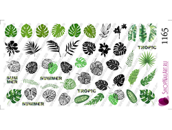 Слайдер-дизайн 1165 - Монстера, тропические листья