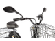 Электровелосипед GREEN CITY e-ALFA Trike