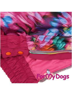 Дождевик Астры розовый