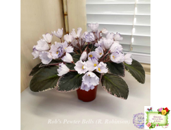 Rob's Pewter Bells (R. Robinson)