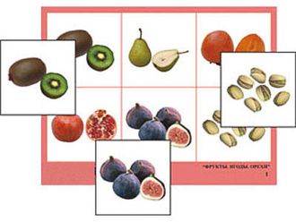 Лото "Фрукты, ягоды, орехи" (4 планшета, 24 карт., цвет., ламинир.)