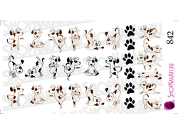 Слайдер дизайн 842 - Йога пес - 2