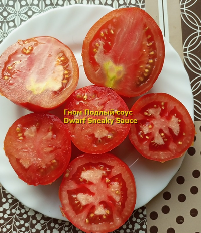 Томат Гном Подлый соус Dwarf Sneaky Sauce)