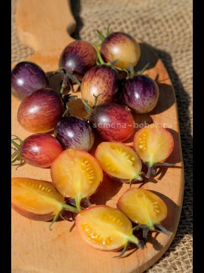 Томат Любушка, 10 шт