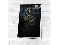 Обложка на паспорт Stalker/ Сталкер №10