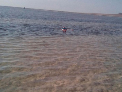 2025г. Астрахань, Волга, Баскунчак "Край цветущего лотоса"