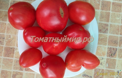 Бычье сердце раннеспелое от Умриловой