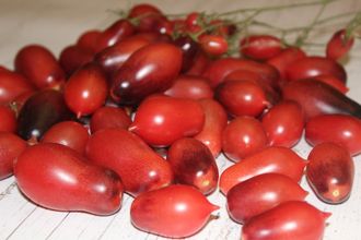 Märchenfee (Сказочная фея)