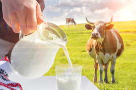 Новый Домик для молока