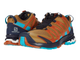 Кроссовки SALOMON XA PRO 3D v8 Bistre/Navy Blaz  409873  (Размер: 7; 7,5; 8; 9)