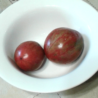 Семена томата Грааль, Гном