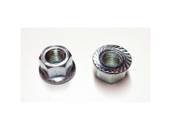 gayka-kryshki-shiny-265