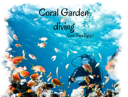 Sea trip to Coral Garden - diving tour