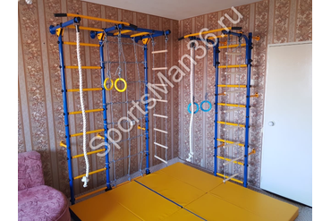 ДСК ЮНЫЙ АТЛЕТ МОДЕЛЬ «ПРИСТЕННЫЙ-ЛАЙТ» С РУКОХОДОМ И СЕТКОЙ + ДСК ЮНЫЙ АТЛЕТ МОДЕЛЬ "ПРИСТЕННЫЙ", цвет металла синий + МАТ ГИМНАСТИЧЕСКИЙ 2,0Х1,0Х0,1 М СКЛАДНОЙ, 3 СЛОЖЕНИЯ, 4 СЕКЦИИ