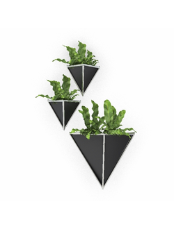 растительная стена Настенные цветы 43