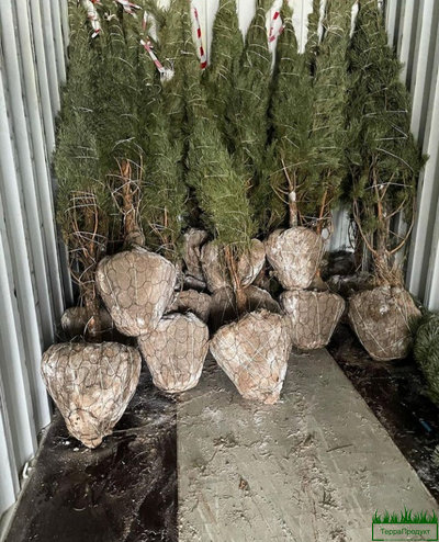 террапродукт сетка для кома