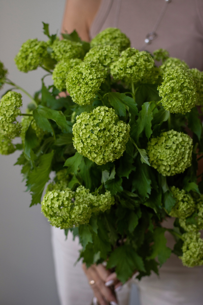 Моно букет цветов № 530