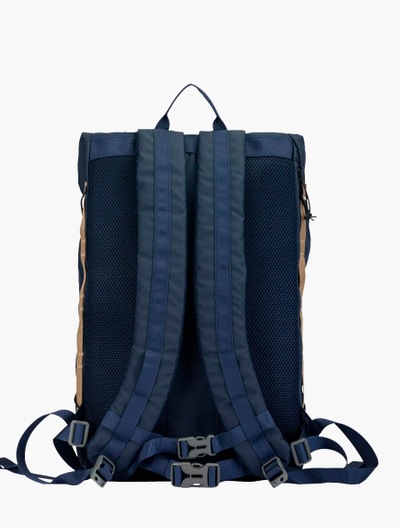 Elliker Dayle Roll Top Navy 21L/25L вид со спины