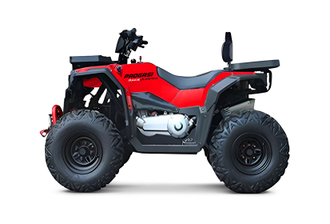 Квадроцикл PROGASI Race Jumper 200