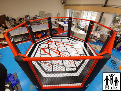 ММА октагон на помосте