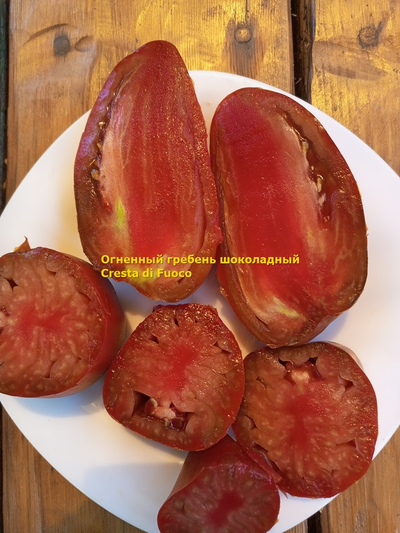 Томат Огненный гребень (Cresta di Fuoco) шоколадный, Италия