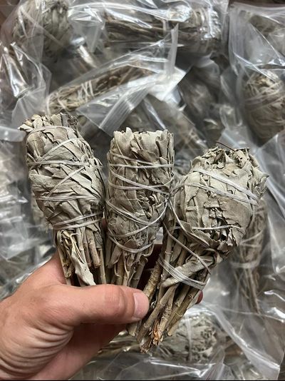 Белый шалфей - Факел 35-50 гр.