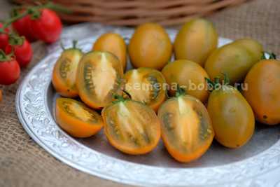 Томат Dwarf Laura’s Bounty (Лаура Баунти), 10 шт