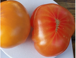 Томат Русский вихрь (Dwarf Russian Swirl) США