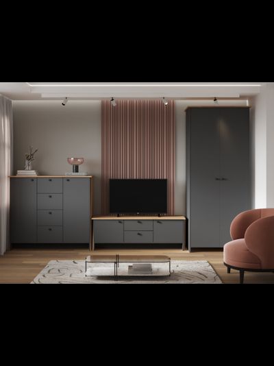 Теодора комплект мебели для гостиной Графит/Дуб крафт