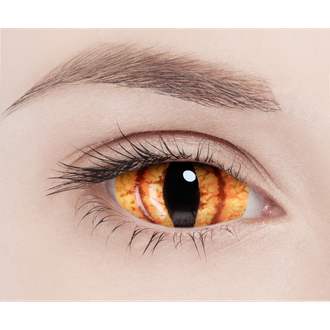 Каталог цветных контактных линз Adria Sclera Pro Dragon