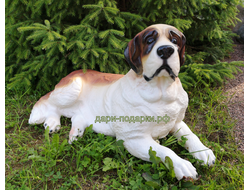 СЕНБЕРНАР 49*80см   6,4кг  полистоун Россия 5489/012323